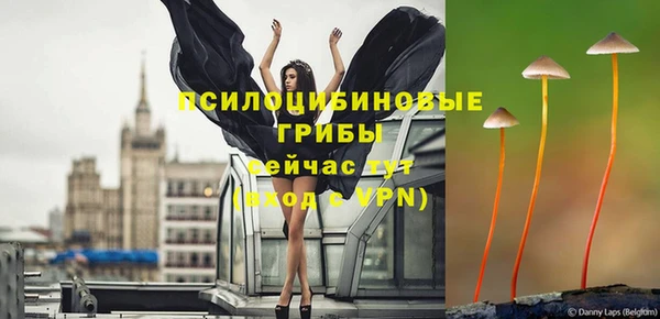 соль ск Аркадак