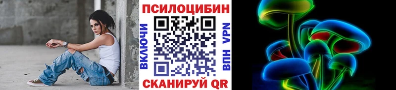 блэк спрут ссылки Белозерск Псилоцибиновые грибы Magic Shrooms